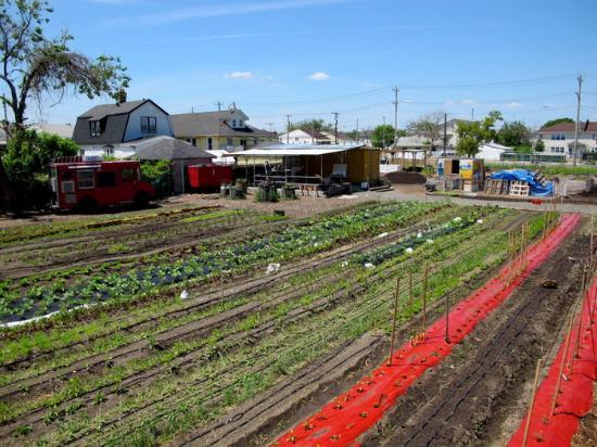 Edgemere Farm